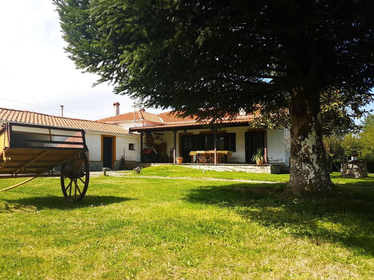 Yiayia'S Rina'S Lovely Cottage Pteria Exterior photo